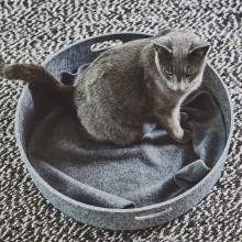 MiaCara Cesto cat basket - Agof Store