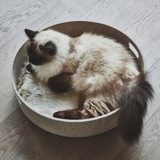 MiaCara Cesto cat basket - Agof Store