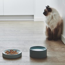 MiaCara Piatto Katzennapf - Agof Store