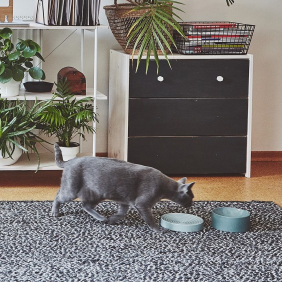 MiaCara Piatto Katzennapf - Agof Store