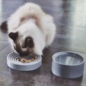 Piatto ciotola per gatti MiaCara - Agof Store