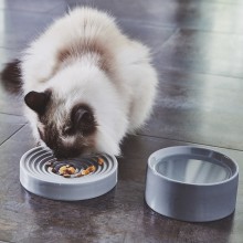 MiaCara Piatto cat bowl - Agof Store