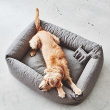 MiaCara Stella Hundebett - Agof Store MiaCara Stella Hundebett - Agof Store
