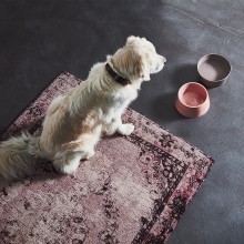MiaCara Doppio bowl set - Agof Store MiaCara Doppio bowl set - Agof Store