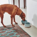 MiaCara Doppio pet bowl set - Agof Store
