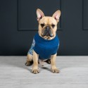 Pullo maglione per cani Labbvenn - Agof Store