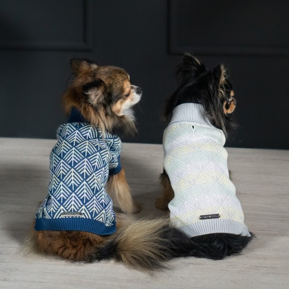 Pullo maglione per cani Labbvenn - Agof Store