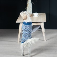 Labbvenn Pullo Hundepullover - Agof Store