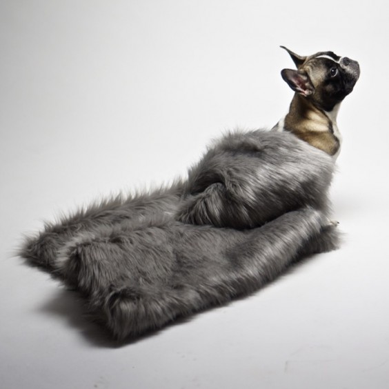Labbvenn Fora dog blanket - Agof Store