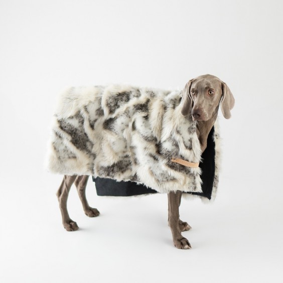 Labbvenn Tosse dog blanket - Agof Store