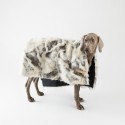 Labbvenn Tosse dog blanket - Agof Store