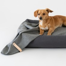 Labbvenn Asnen dog blanket - Agof Store
