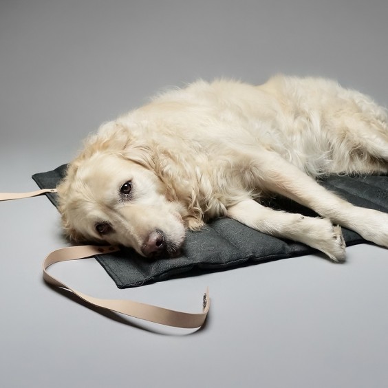 Labbvenn Fosser dog travelbed - Agof Store