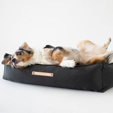 Labbvenn Tove dog cushion - Agof Store Labbvenn Tove dog cushion - Agof Store