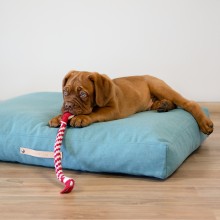 Labbvenn Copenhagen dog cushion - Agof Store