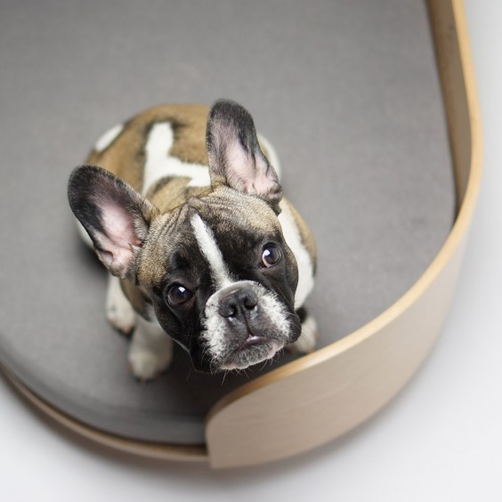Labbvenn Loue dog bed - Agof Store