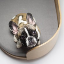 Labbvenn Loue Hundebett - Agof Store