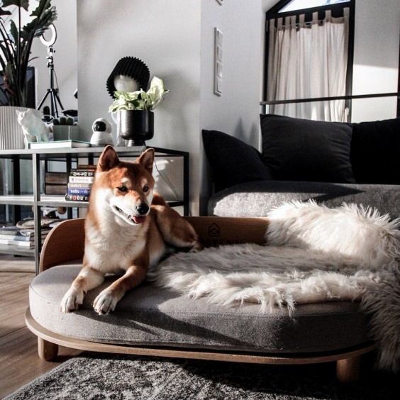Labbvenn Loue dog bed - Agof Store