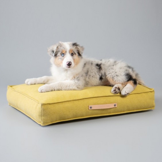 Labbvenn Movik dog cushion - Agof Store