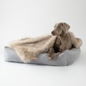 Labbvenn Movik dog bed - Agof Store