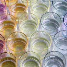 KANZ ARCHITETTI Iride set | Glasses | Agof Store