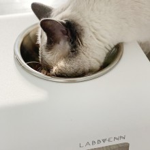 Labbvenn Rico bowl set - Agof Store