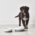 MiaCara Coppa dog bowl - Agof Store
