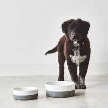 MiaCara Coppa dog bowl - Agof Store