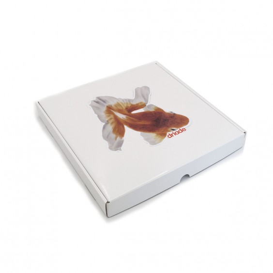 The White Snow Kingyo A piatto piano Ø 32 Driade - Agof Store