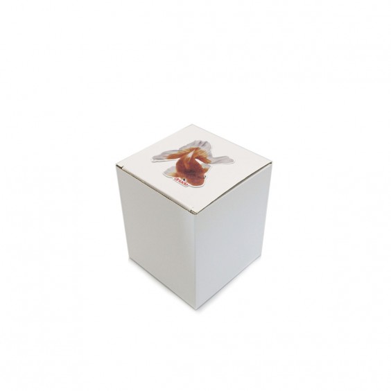 The White Snow Kingyo tazza e piattino da caffè Driade - Agof Store