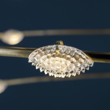 56 Petits Bijoux Lampada a sospensione Catellani & Smith - Agof Store