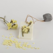 EMOZIONARIA Sogna | Duftende Tablette | Agof Store EMOZIONARIA Sogna | Duftende Tablette | Agof Store
