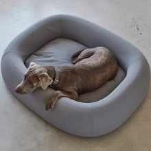 Barca cuccia per cani MiaCara - Agof Store