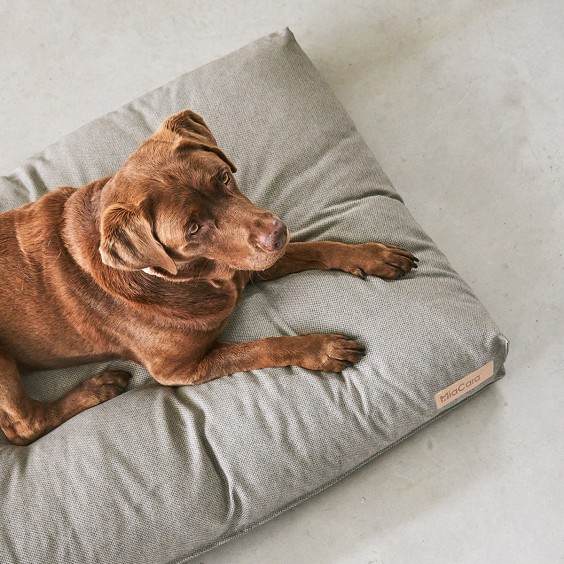 MiaCara Mare dog cushion - Agof Store