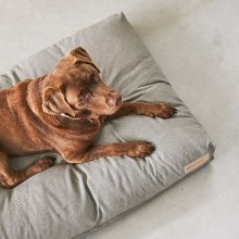 MiaCara Mare Hundekissen - Agof Store
