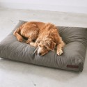 MiaCara Mare dog cushion - Agof Store