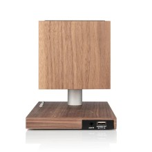 Tivoli Audio Revive Bluetooth Lautsprecher - Agof Store