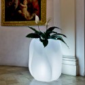 Serralunga New_Wave Light pot with light - Agof Store