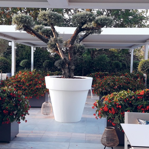 Serralunga Vas Blumentopf - Agof Store