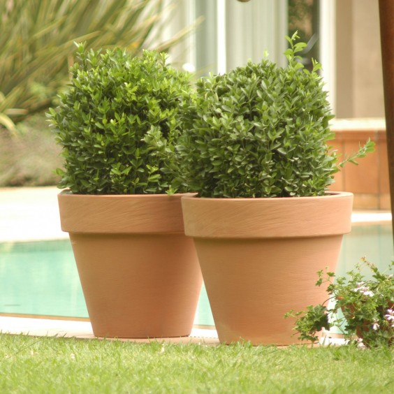 Serralunga Bordato Liscio pot - Agof Store