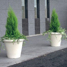 Camelia Vaso Serralunga - Agof Store