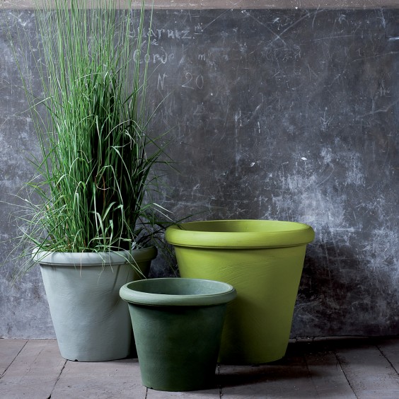 Camelia Vaso Serralunga - Agof Store