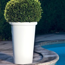 Serralunga Camelia Vase - Agof Store