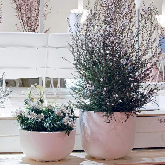 Serralunga Cup pot - Agof Store