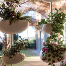 Green Pills Vaso Serralunga - Agof Store