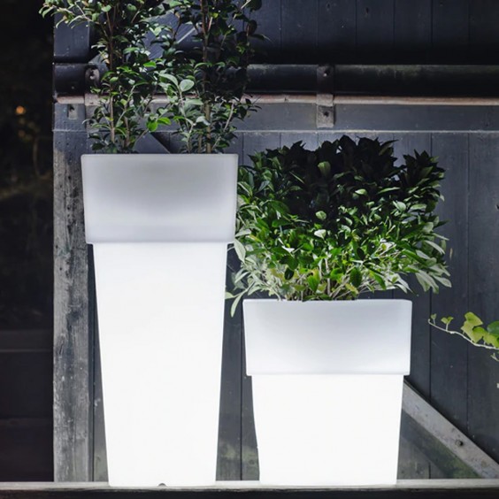 Torre Light Vaso con luce Serralunga - Agof Store