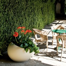 Uovo di Colombo Vaso Serralunga - Agof Store