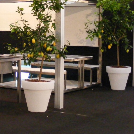 Serralunga Vas Three pot - Agof Store
