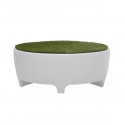 Serralunga Oasis coffee table - Agof Store