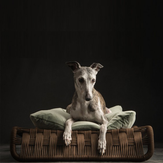 Brando Kanak dog & cat bed - Agof Store